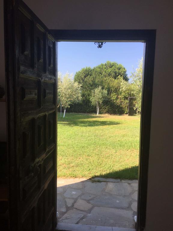 Sithonia White Sand Villa Koviou Beach Nikiti מראה חיצוני תמונה